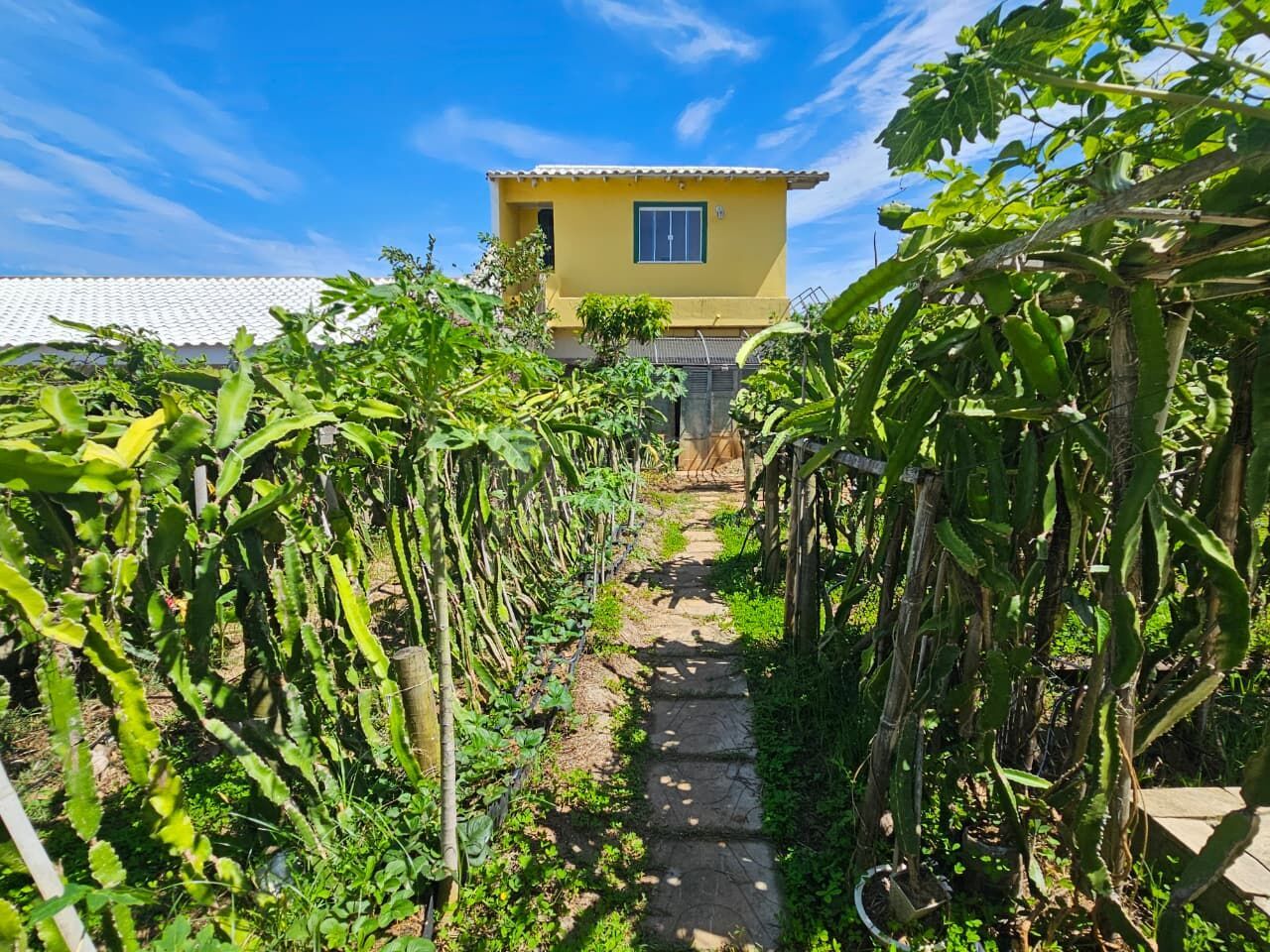 Casa, 4 quartos, 136 m² - Foto 26