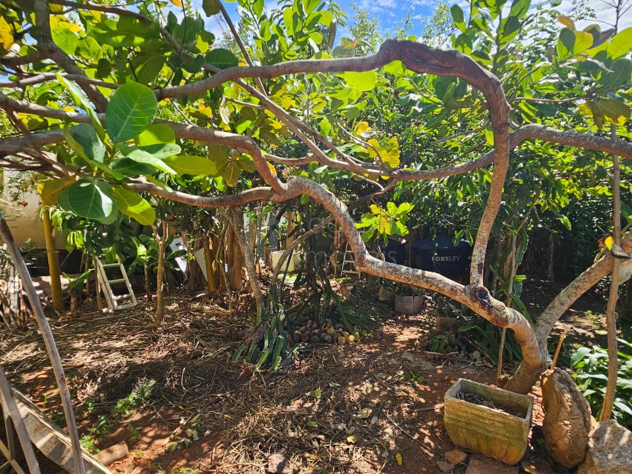 Casa, 4 quartos, 136 m² - Foto 24