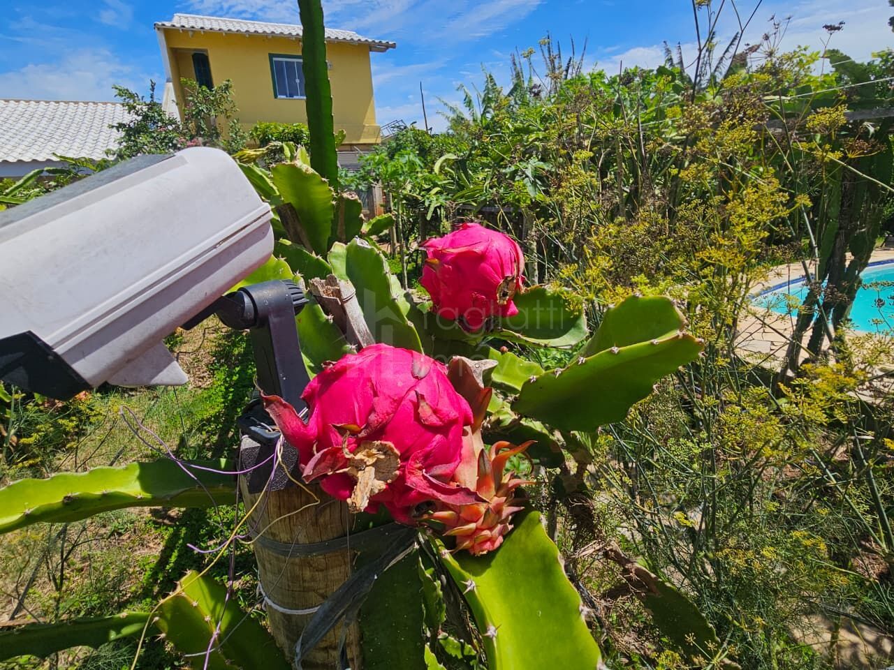 Casa, 4 quartos, 136 m² - Foto 15