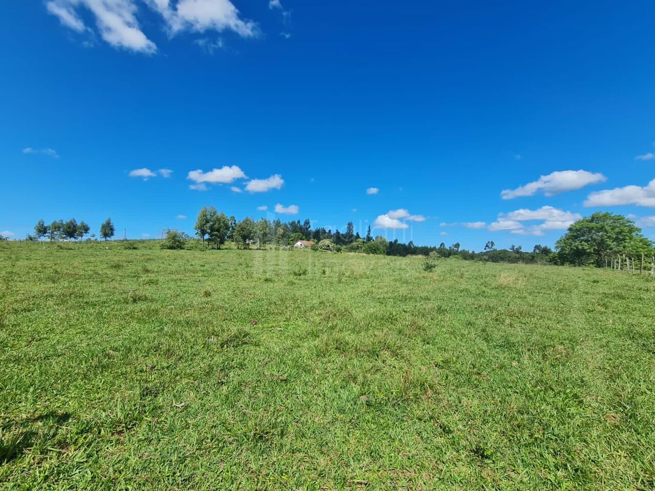 Fazenda à venda, 2496m² - Foto 20