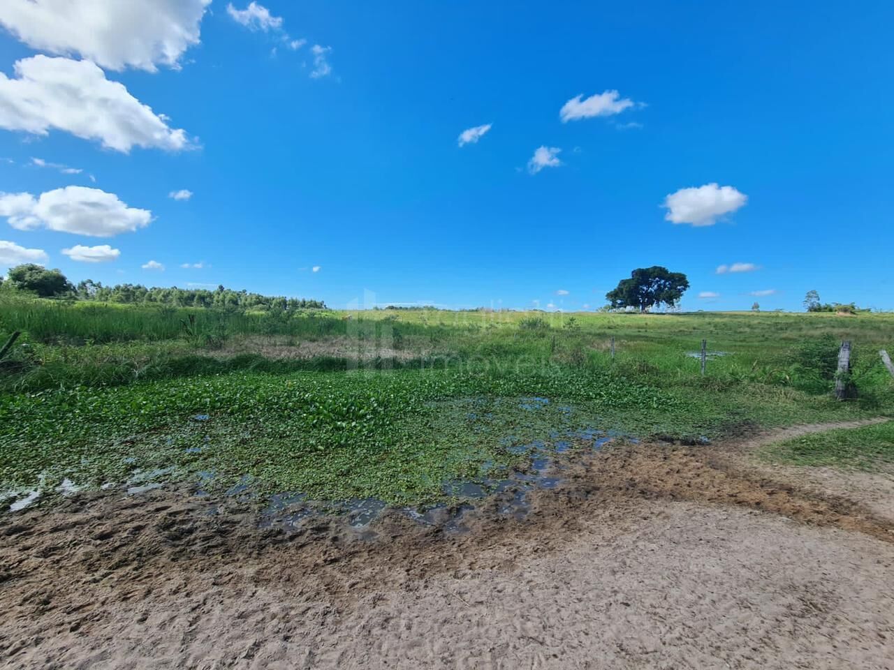 Fazenda à venda, 2496m² - Foto 5