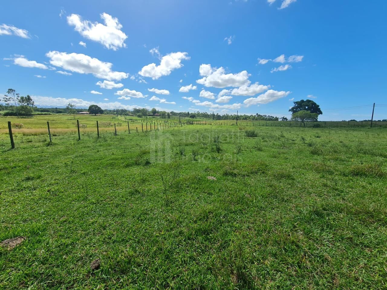 Fazenda à venda, 2496m² - Foto 19