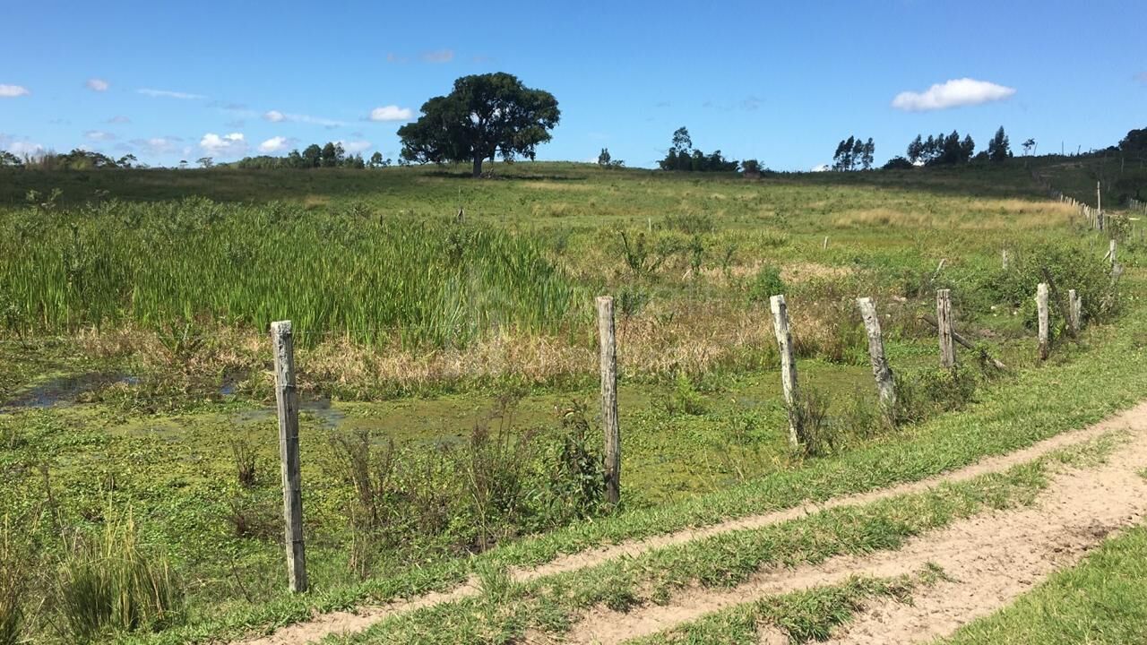 Fazenda à venda, 2496m² - Foto 32