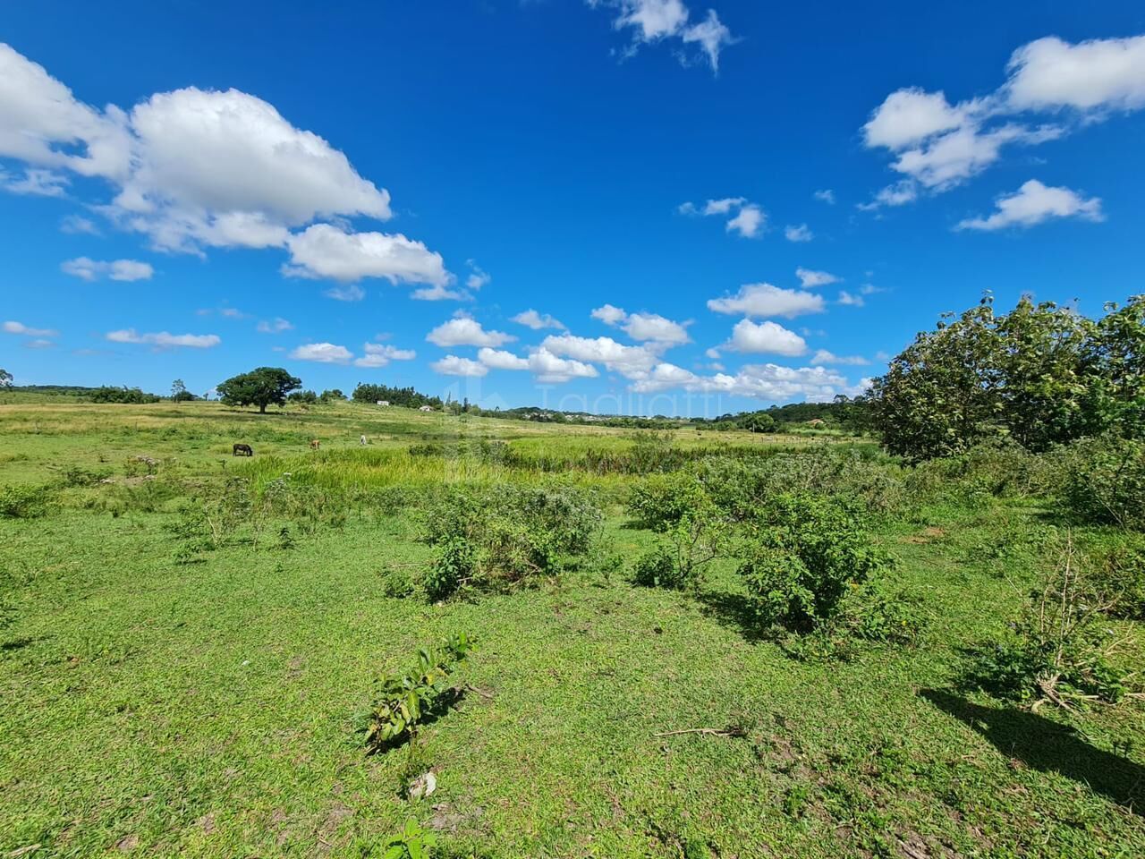 Fazenda à venda, 2496m² - Foto 16
