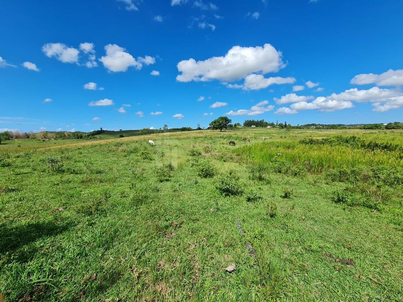 Fazenda à venda, 2496m² - Foto 2