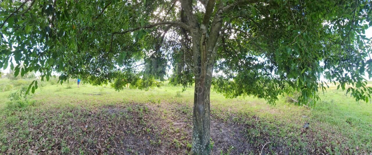 Fazenda à venda, 2496m² - Foto 10