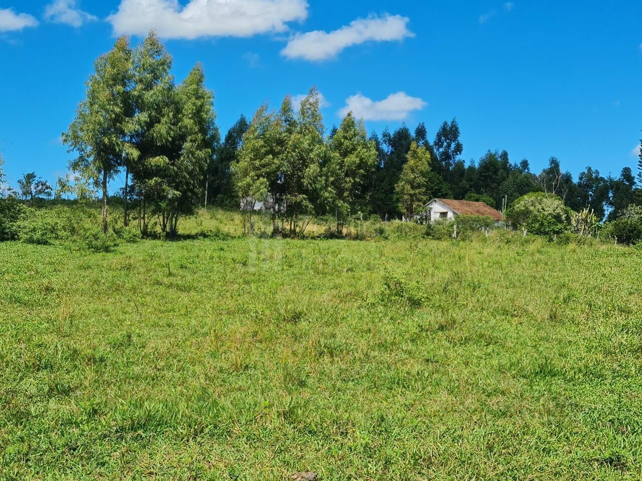 Fazenda à venda, 2496m² - Foto 21