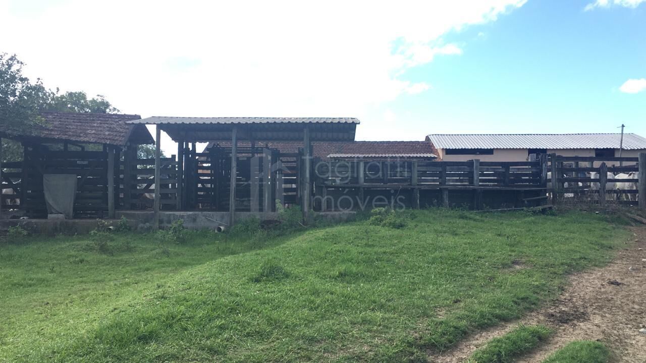 Fazenda à venda, 2496m² - Foto 29