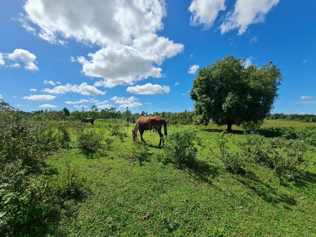 Fazenda à venda, 2496m² - Foto 13