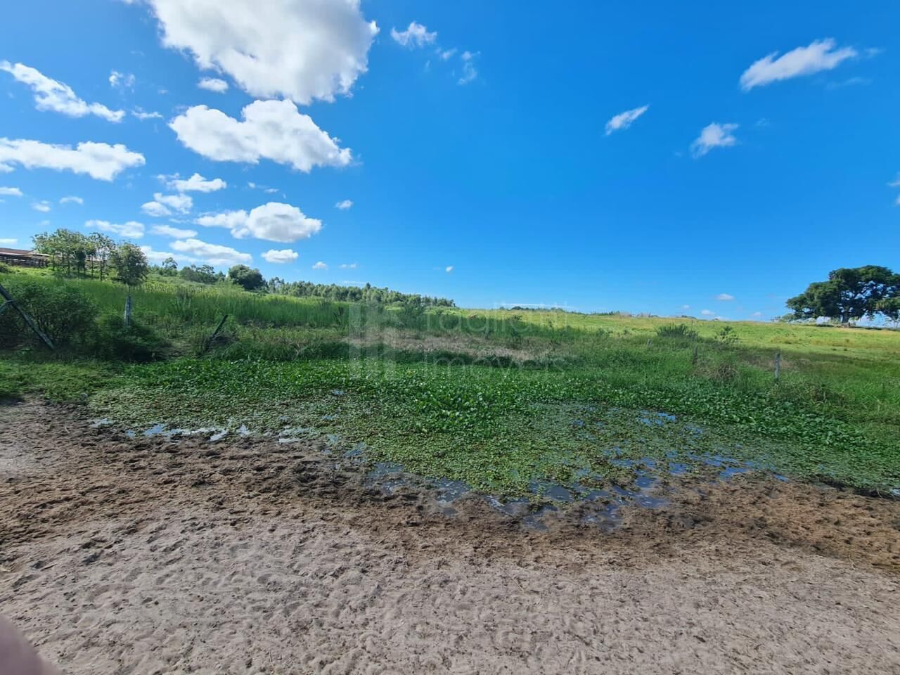 Fazenda à venda, 2496m² - Foto 3
