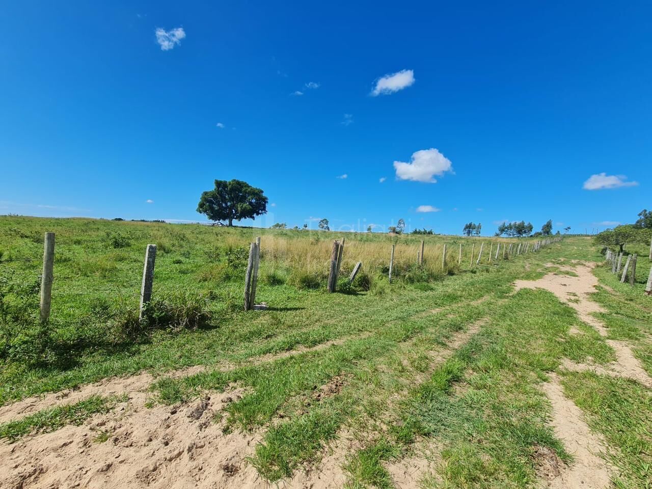 Fazenda à venda, 2496m² - Foto 15