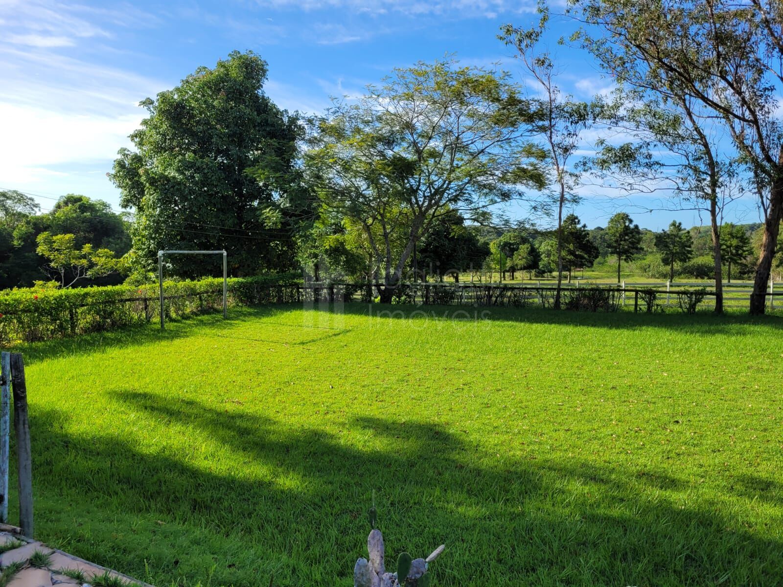 Sítio à venda com 6 quartos, 50000m² - Foto 21