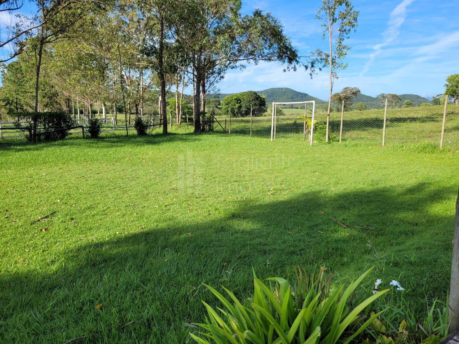Sítio à venda com 6 quartos, 50000m² - Foto 22