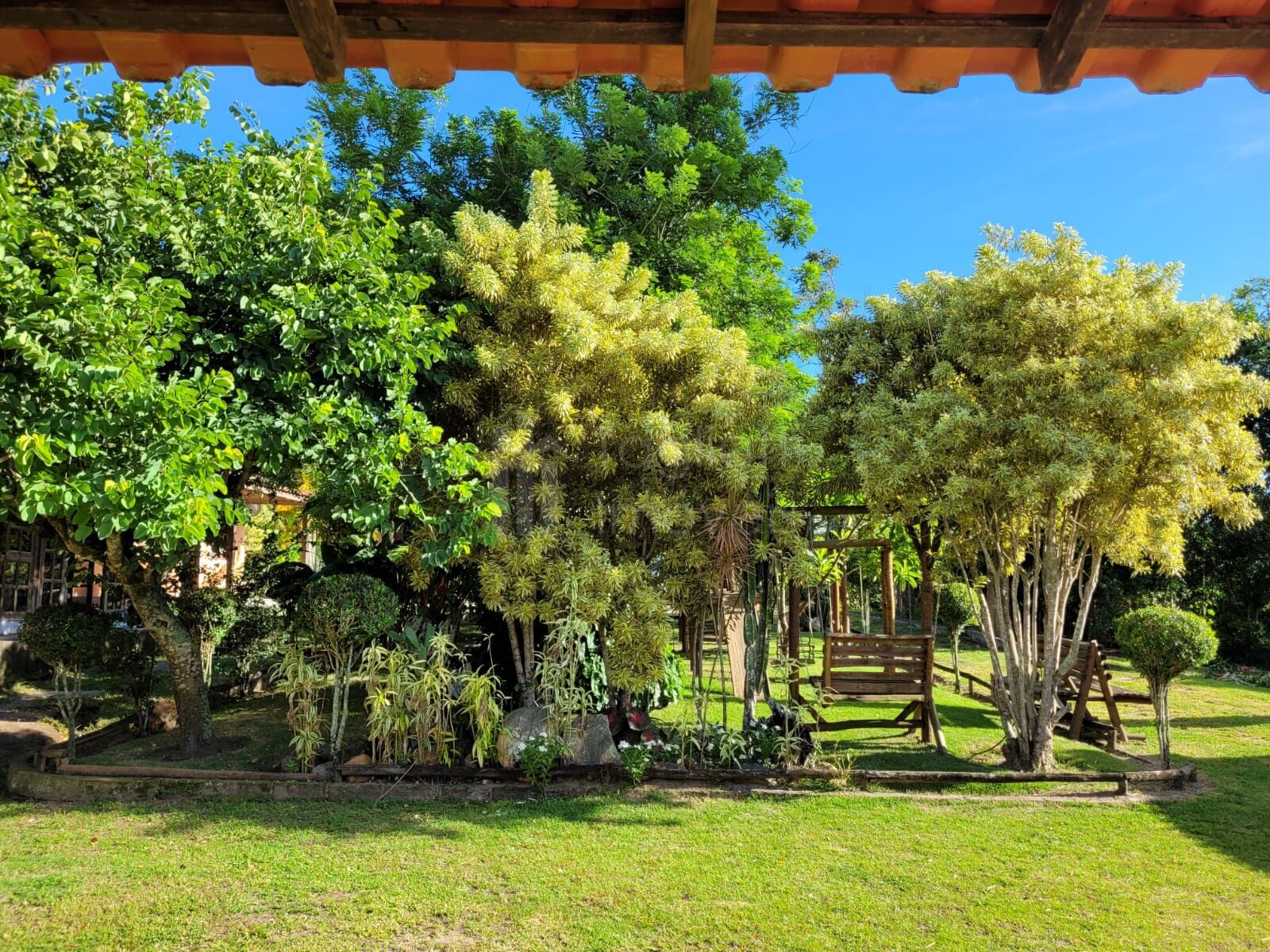 Sítio à venda com 6 quartos, 50000m² - Foto 24