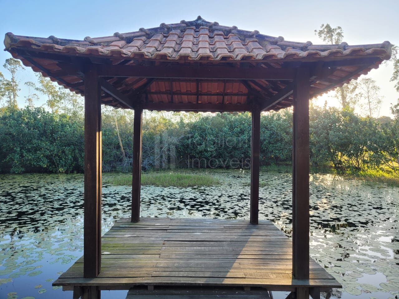 Sítio à venda com 6 quartos, 50000m² - Foto 6