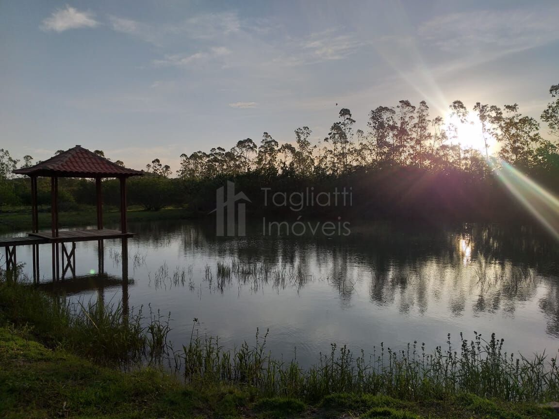 Sítio à venda com 6 quartos, 50000m² - Foto 15