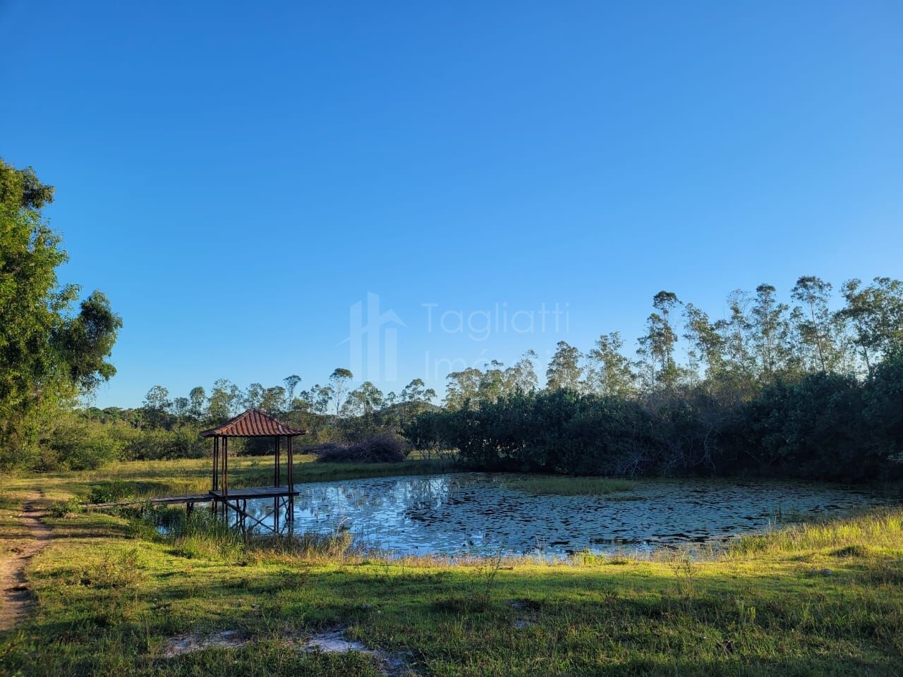 Sítio à venda com 6 quartos, 50000m² - Foto 14