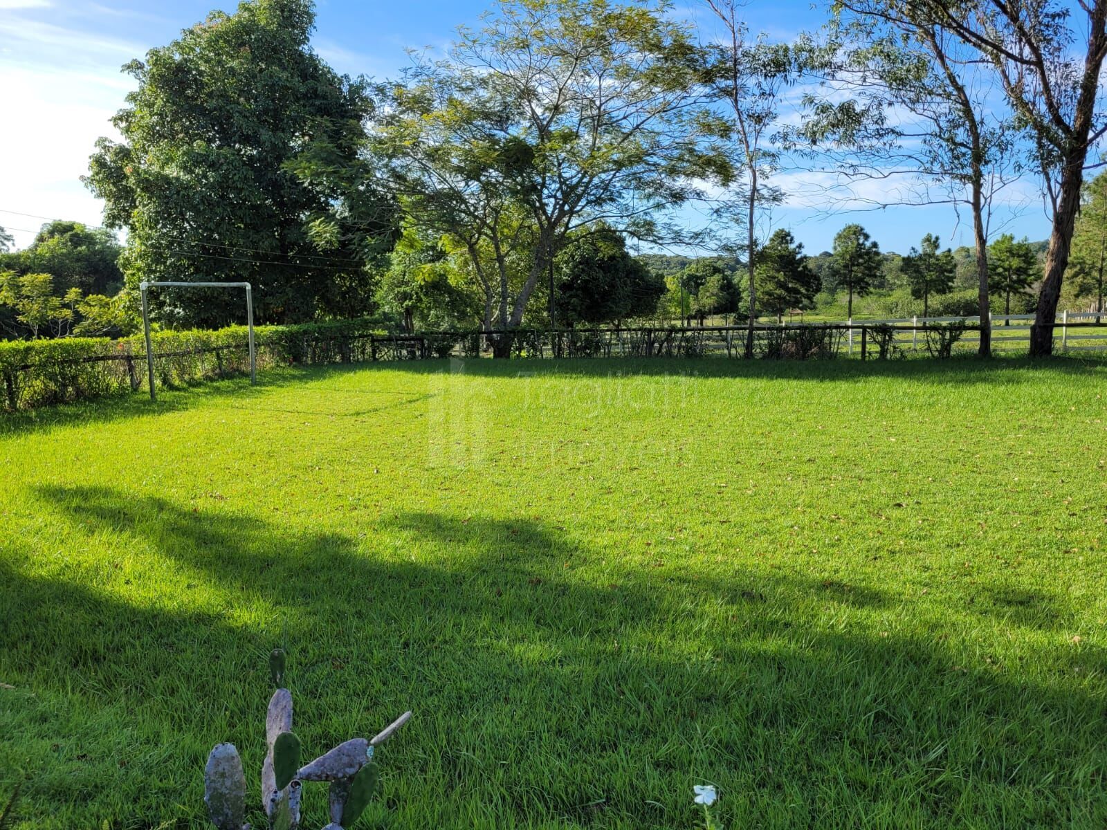 Sítio à venda com 6 quartos, 50000m² - Foto 23
