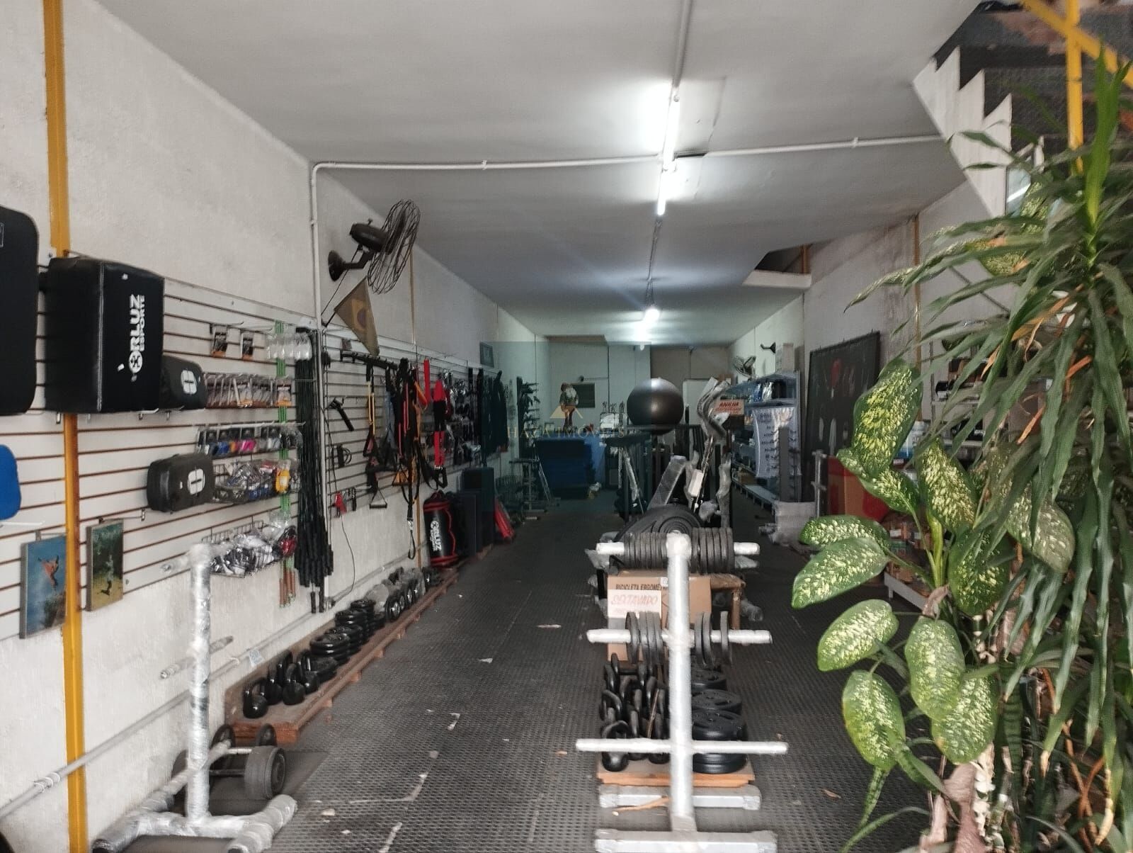 Loja-Salão, 240 m² - Foto 7