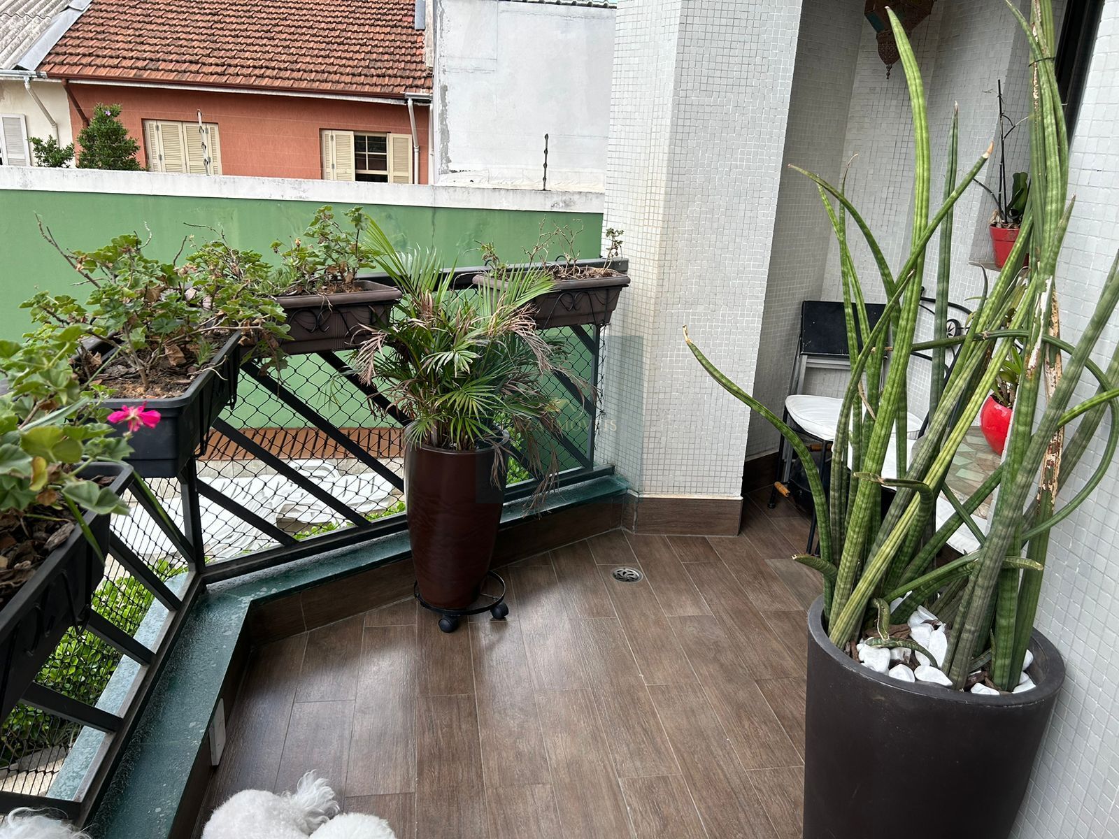 Apartamento, 3 quartos, 186 m² - Foto 19
