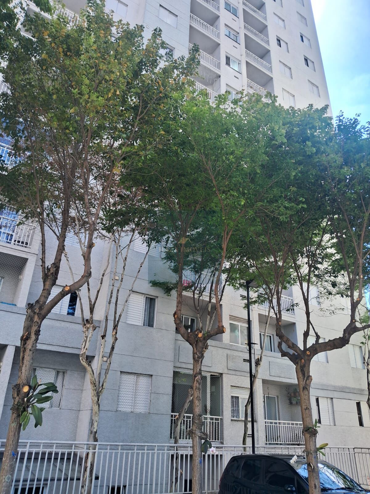 Apartamento, 3 quartos - Foto 5