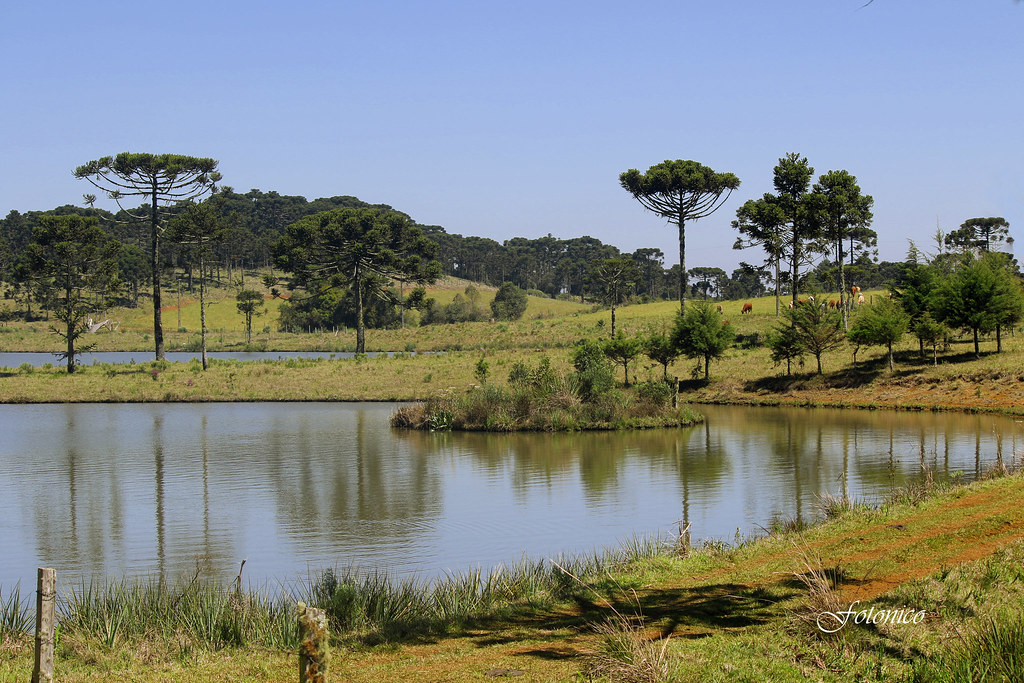 Maya Imobiliaria Ltda