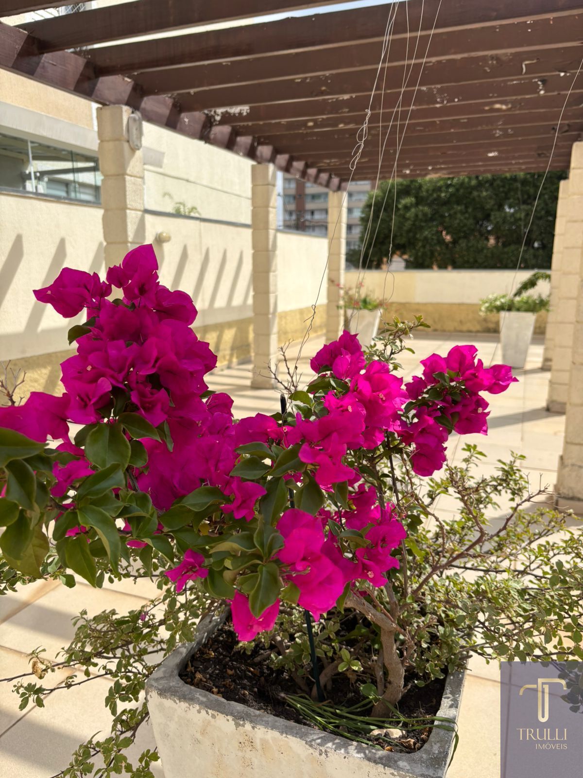 Cobertura, 3 quartos, 126 m² - Foto 20