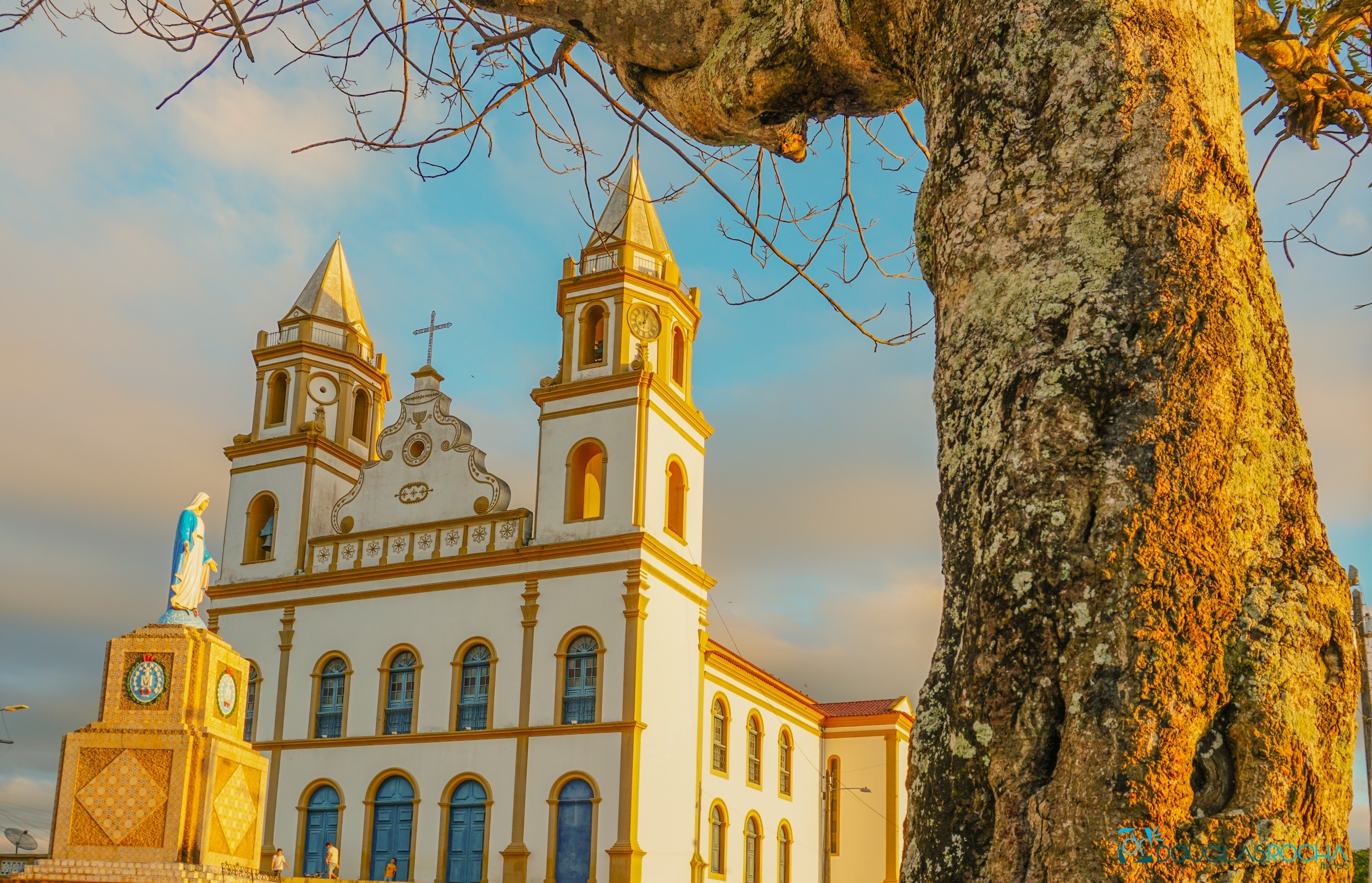 Daniel Fernandes Tavares