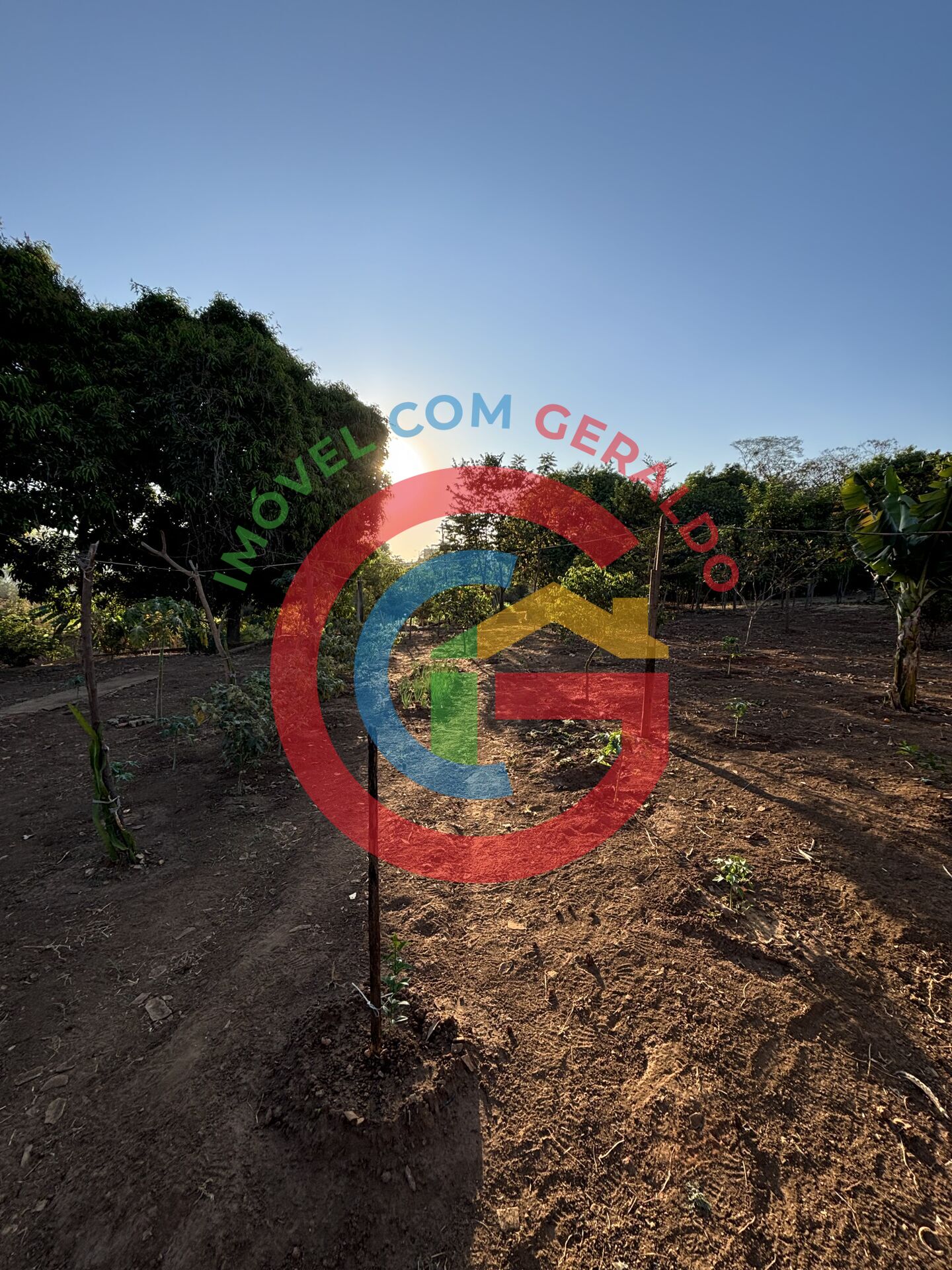 Terreno, 2 hectares - Foto 20