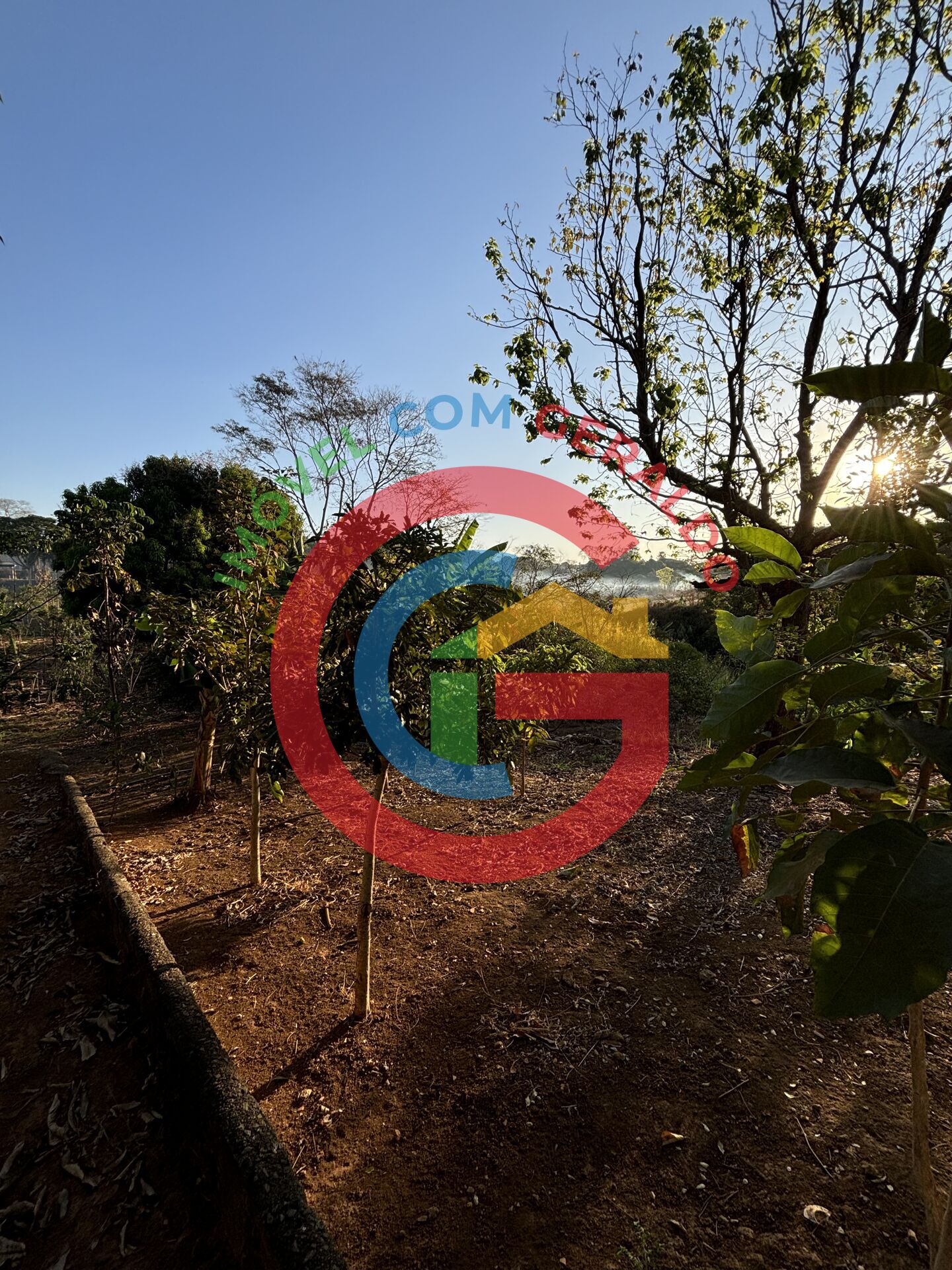 Terreno, 2 hectares - Foto 15