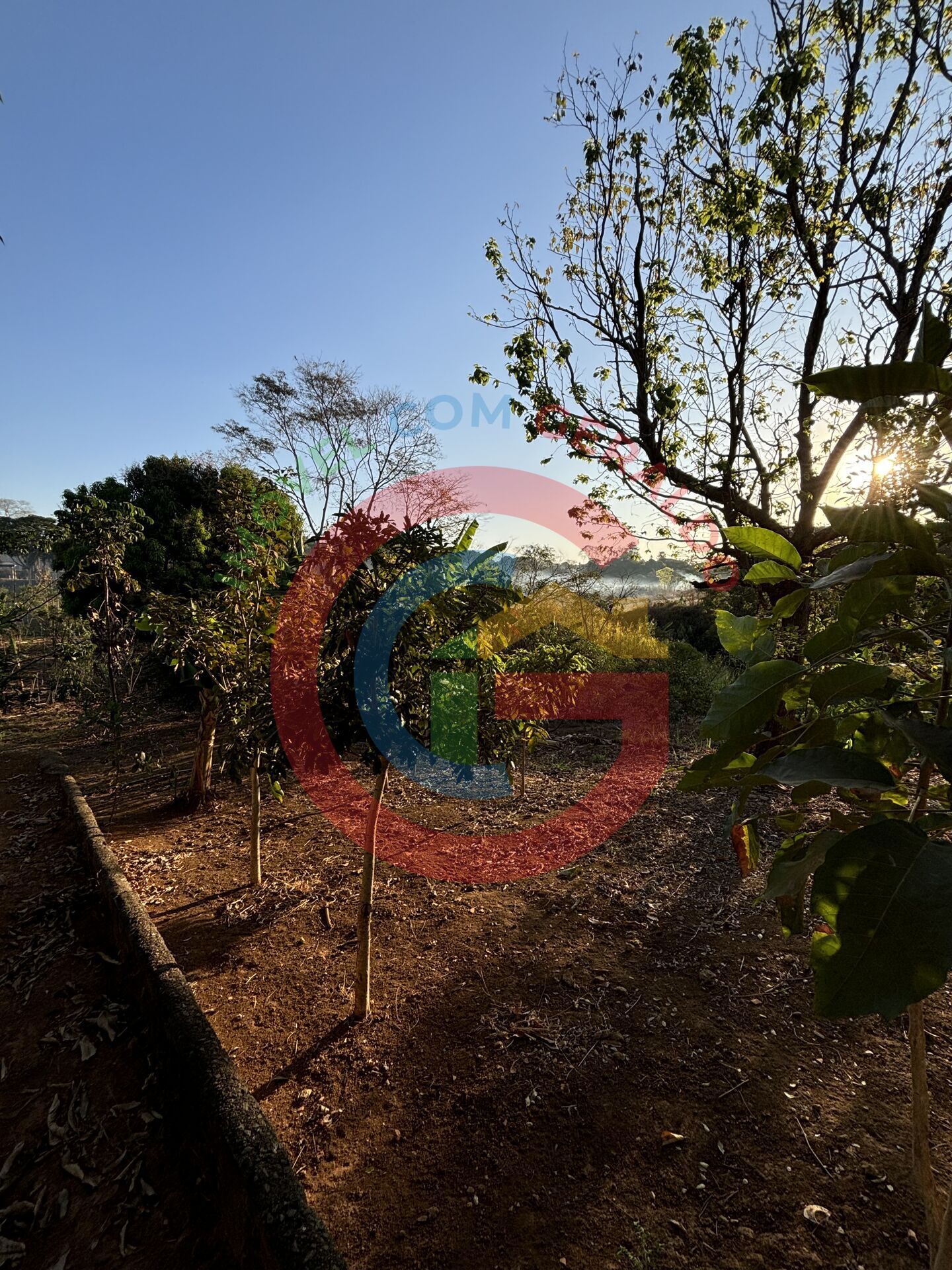Terreno, 2 hectares - Foto 15