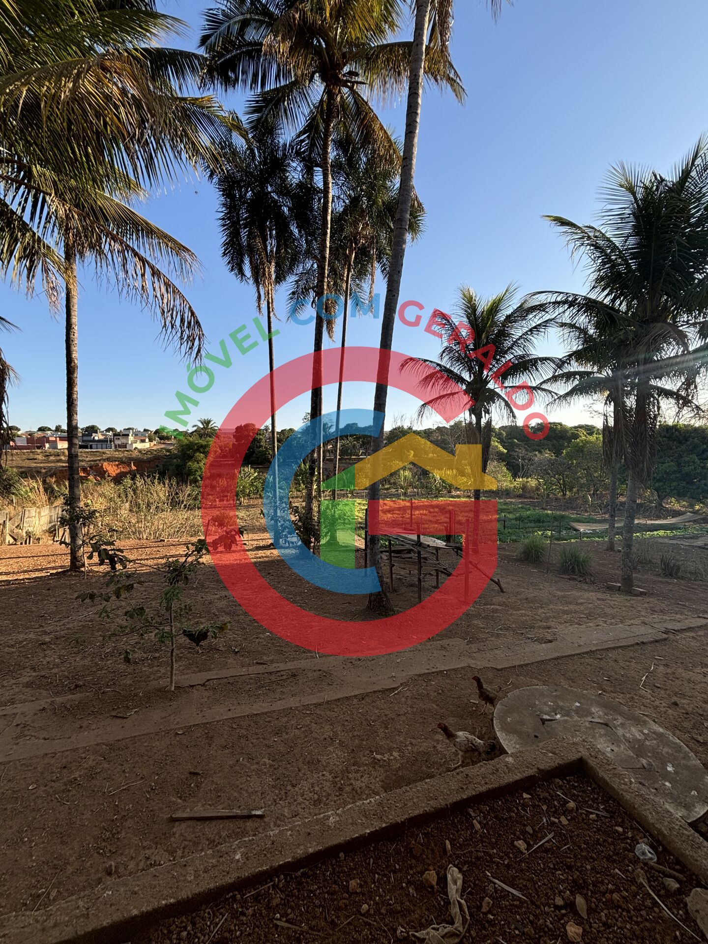 Terreno, 2 hectares - Foto 4