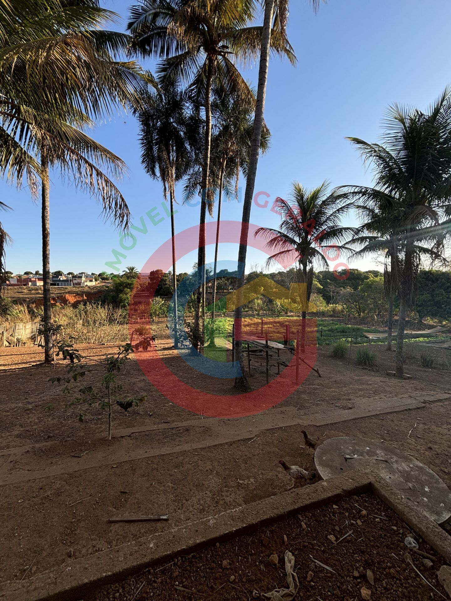 Terreno, 2 hectares - Foto 4