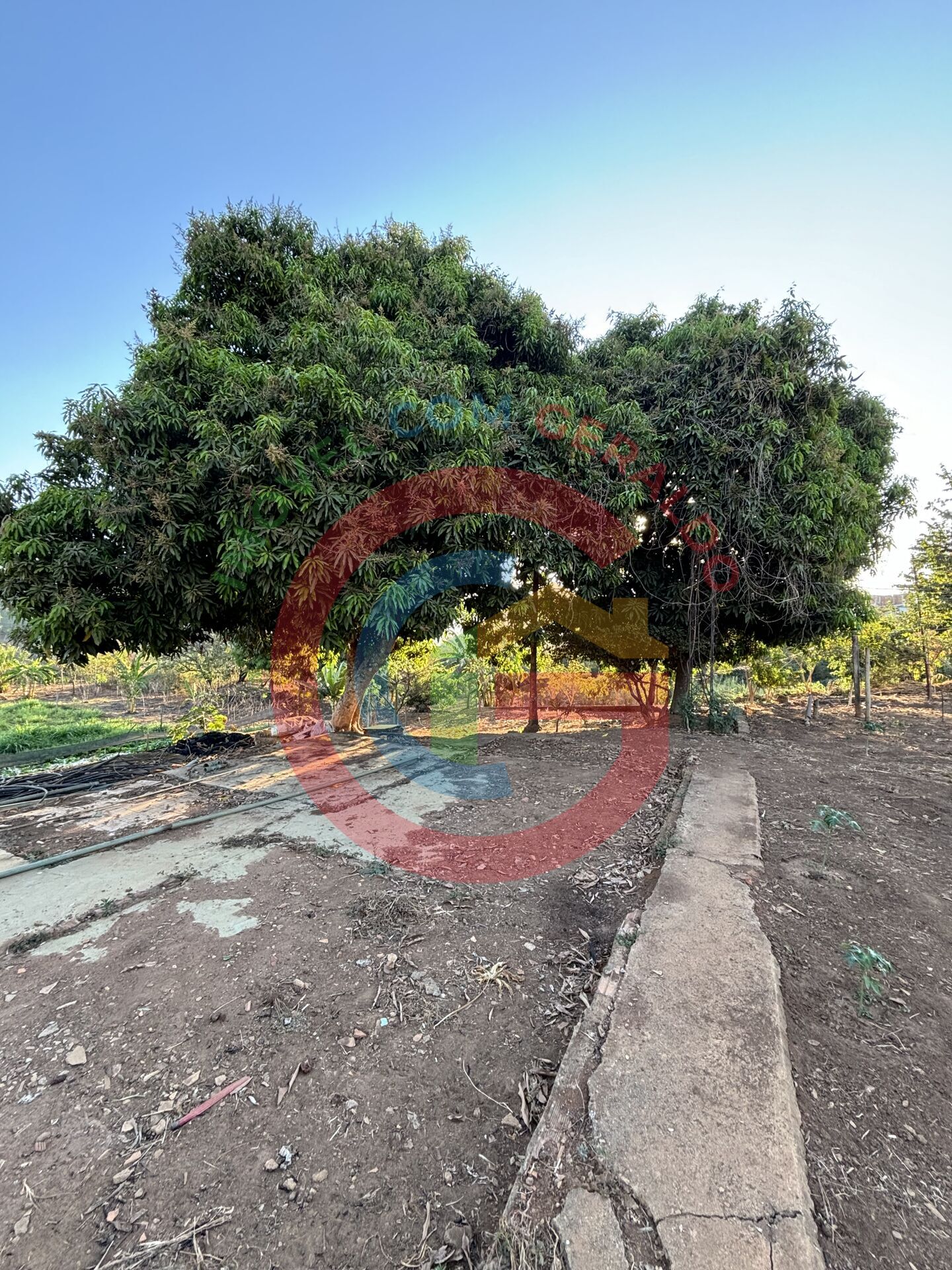 Terreno, 2 hectares - Foto 19