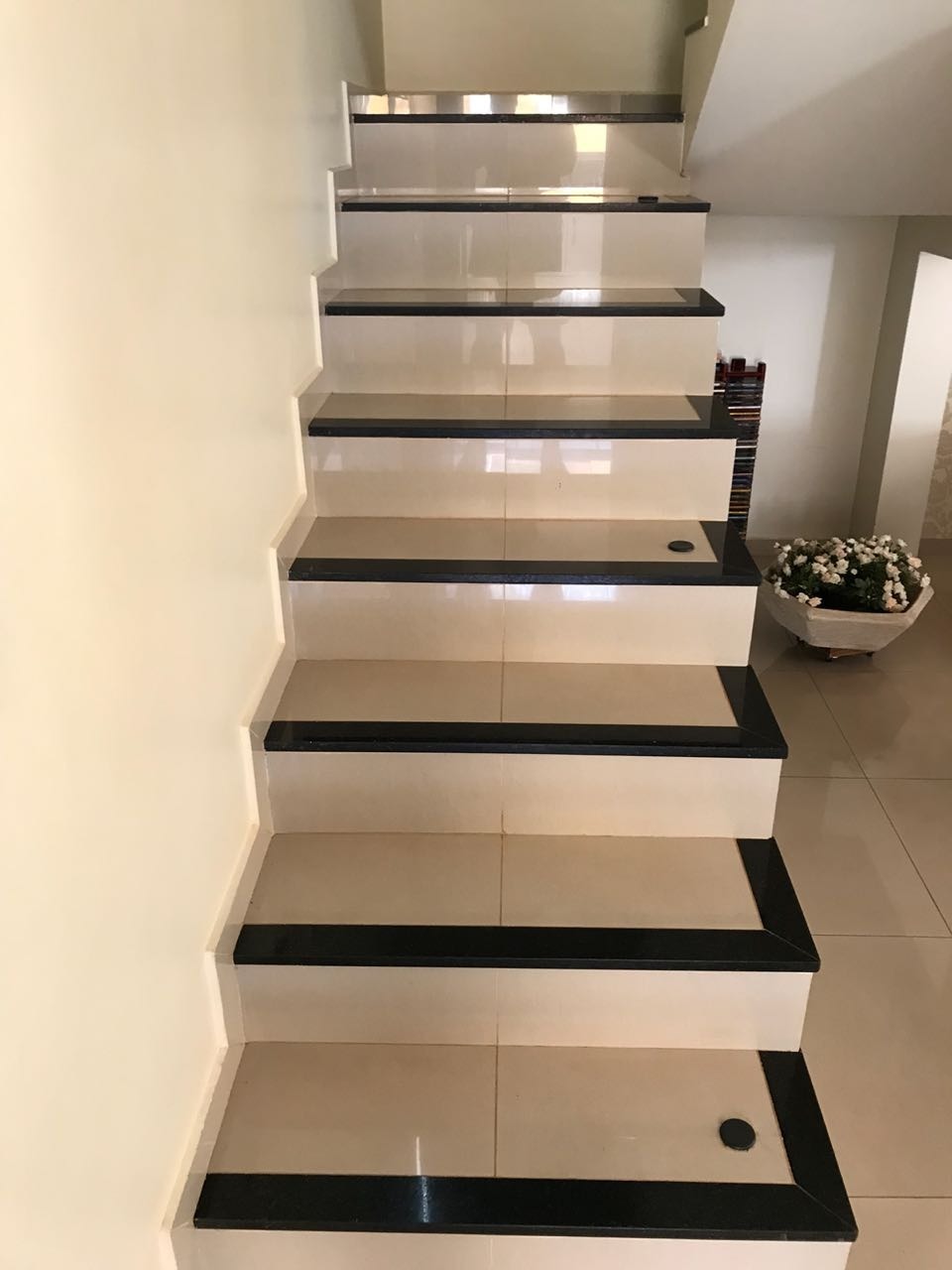Casa, 3 quartos, 353 m² - Foto 6