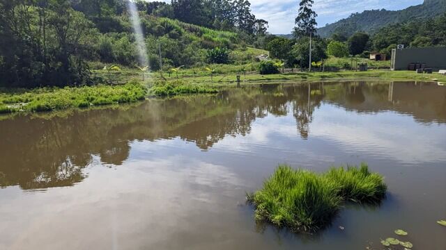 Chácara, 2 quartos, 4 hectares - Foto 16