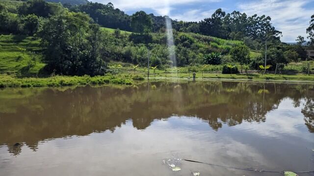 Chácara, 2 quartos, 4 hectares - Foto 14