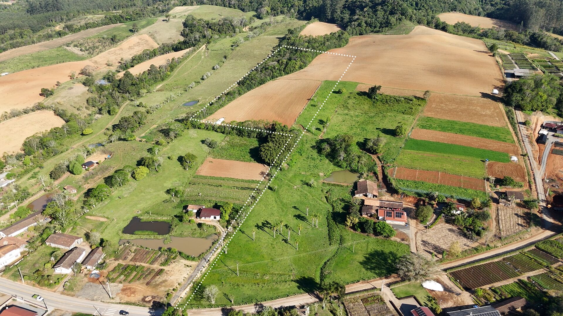 Terreno, 3 hectares - Foto 1