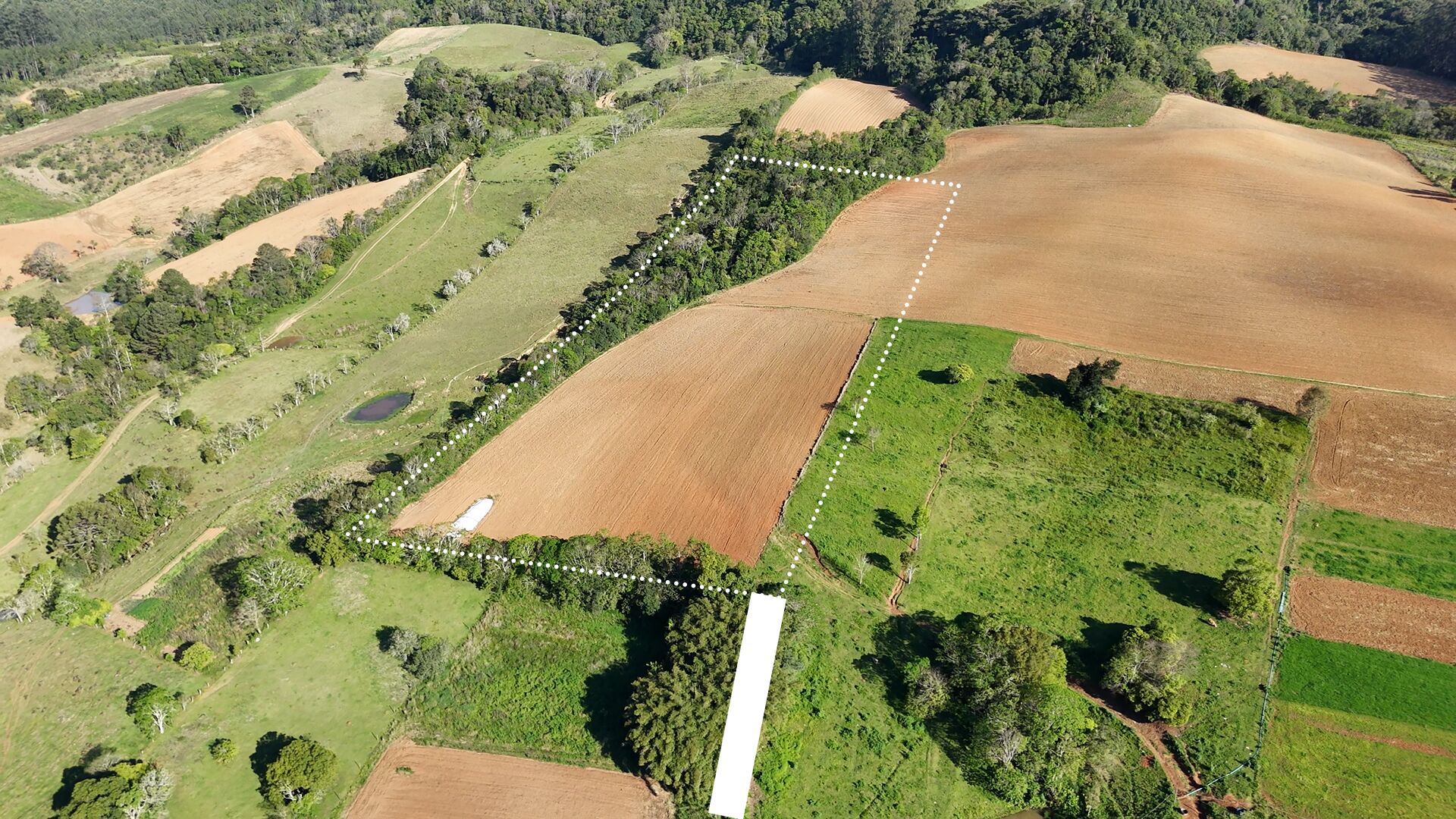 Terreno, 3 hectares - Foto 3