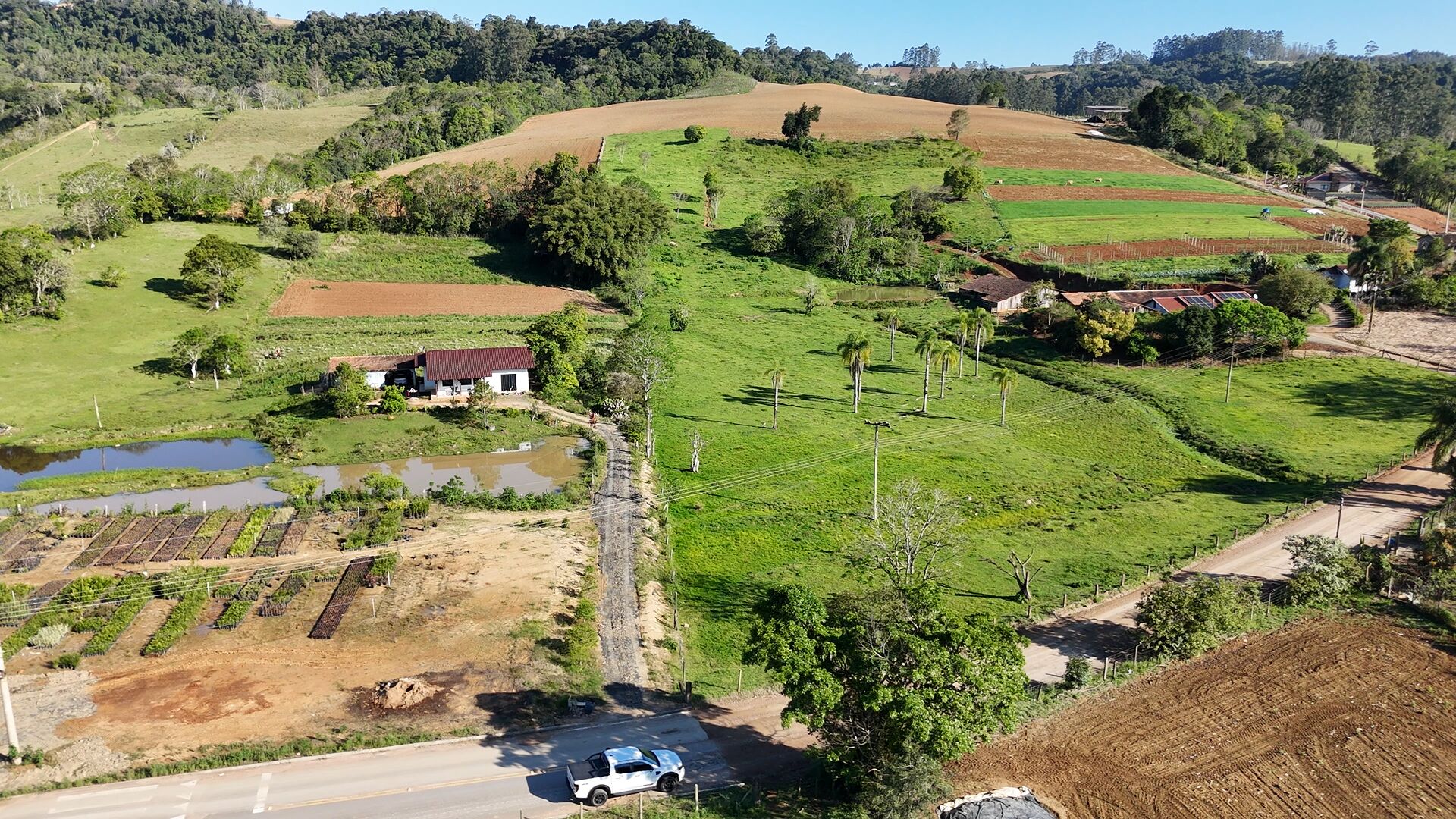 Terreno, 3 hectares - Foto 5