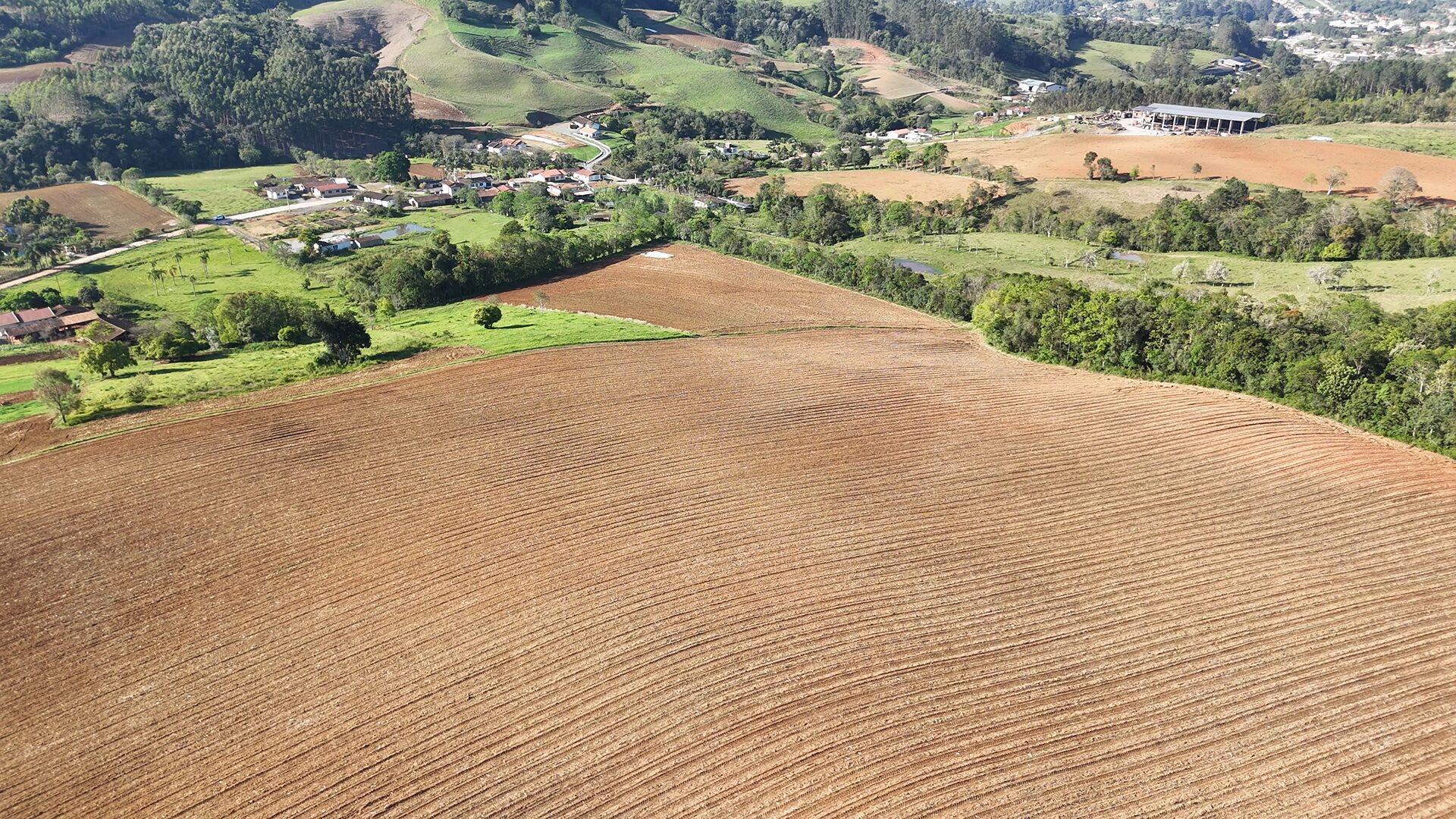 Terreno, 3 hectares - Foto 4