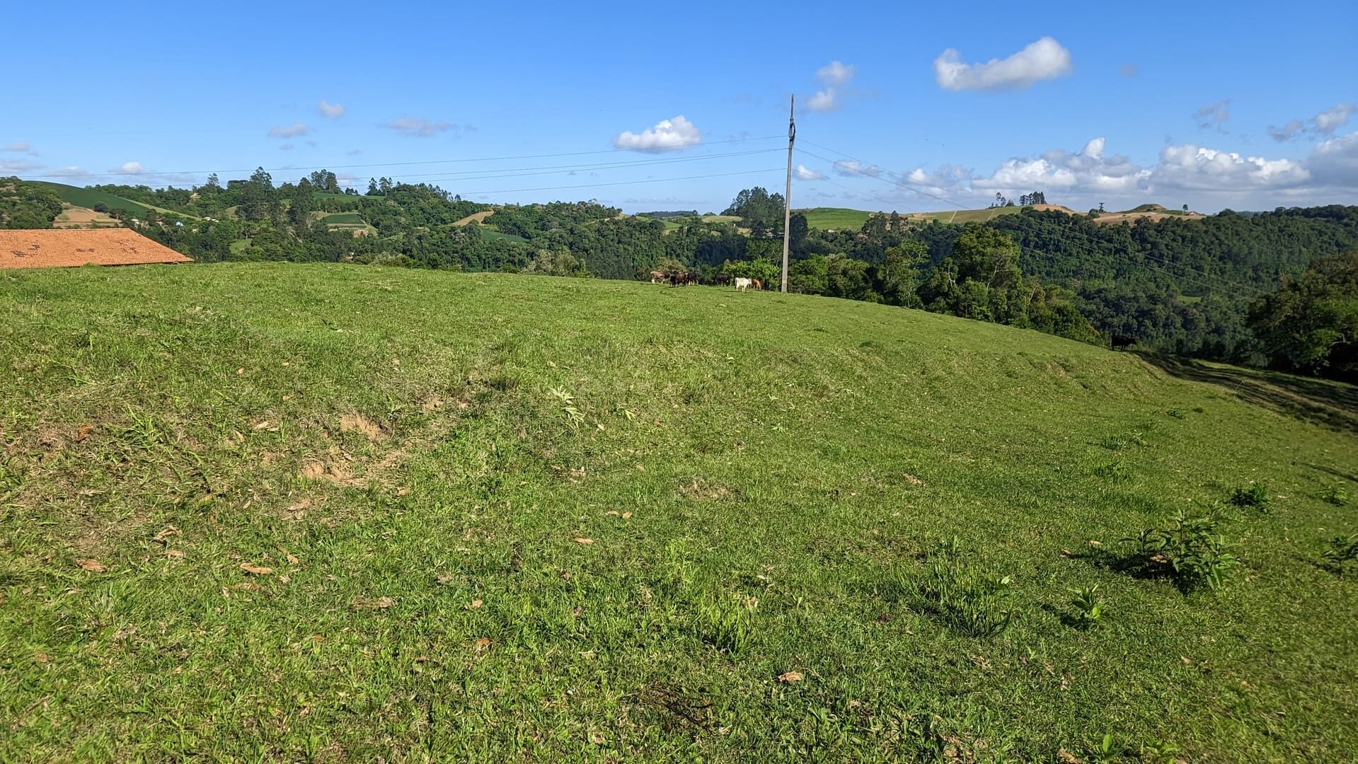 Terreno, 4 hectares - Foto 3