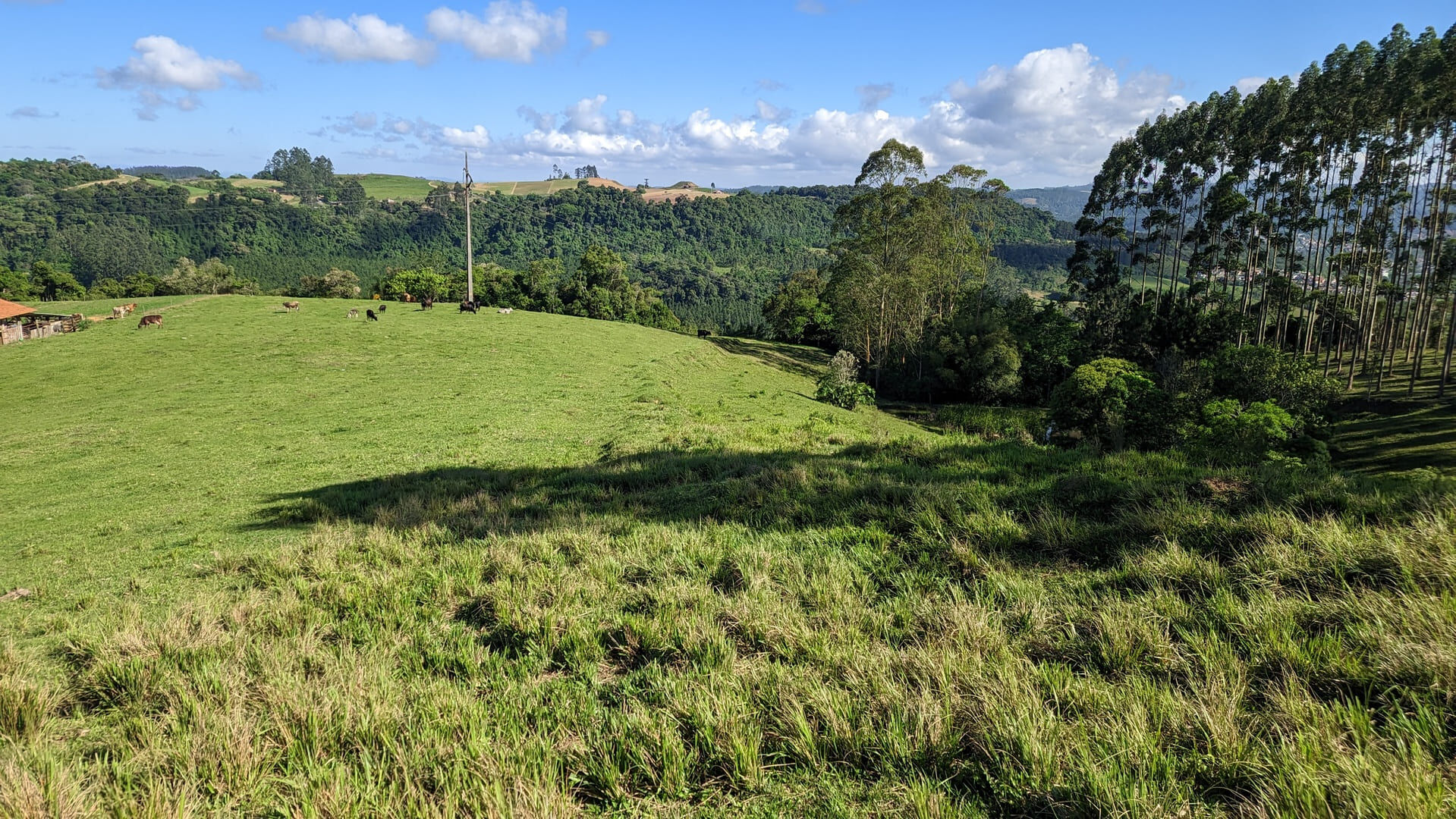 Terreno, 4 hectares - Foto 5