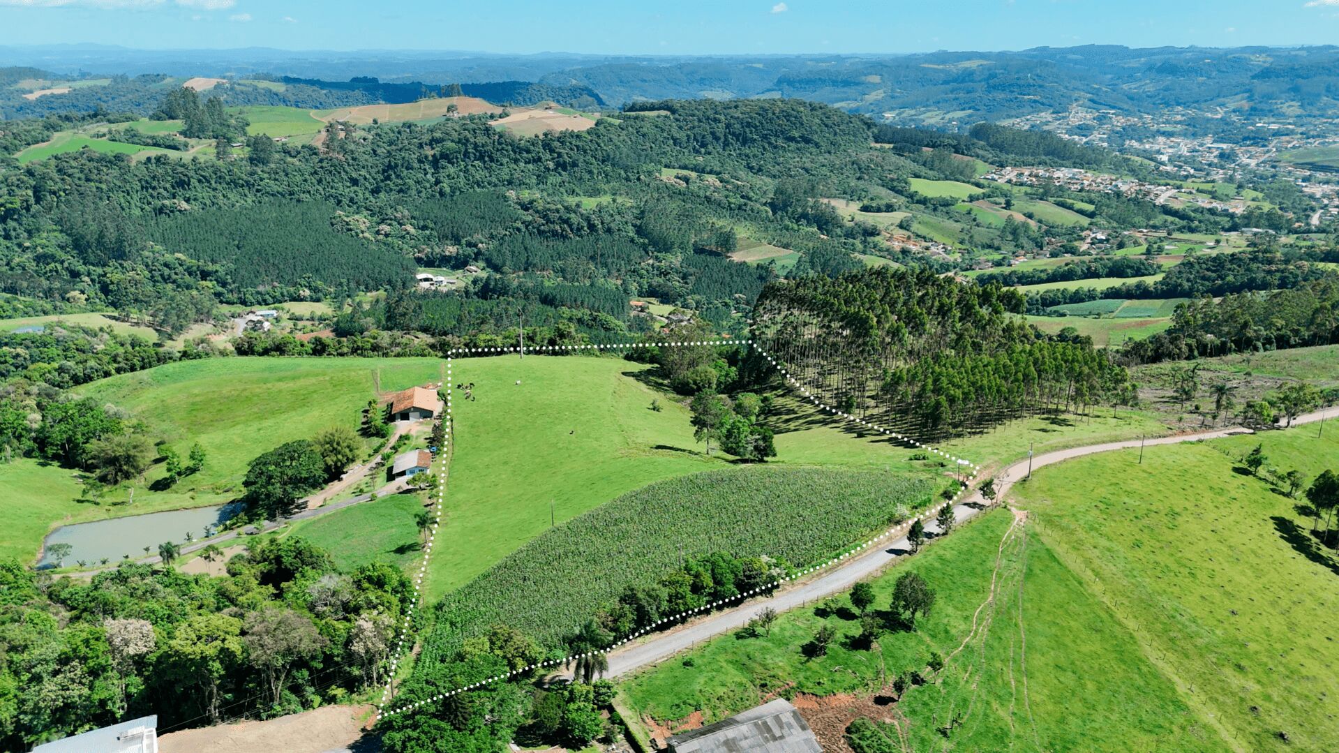 Terreno, 4 hectares - Foto 1