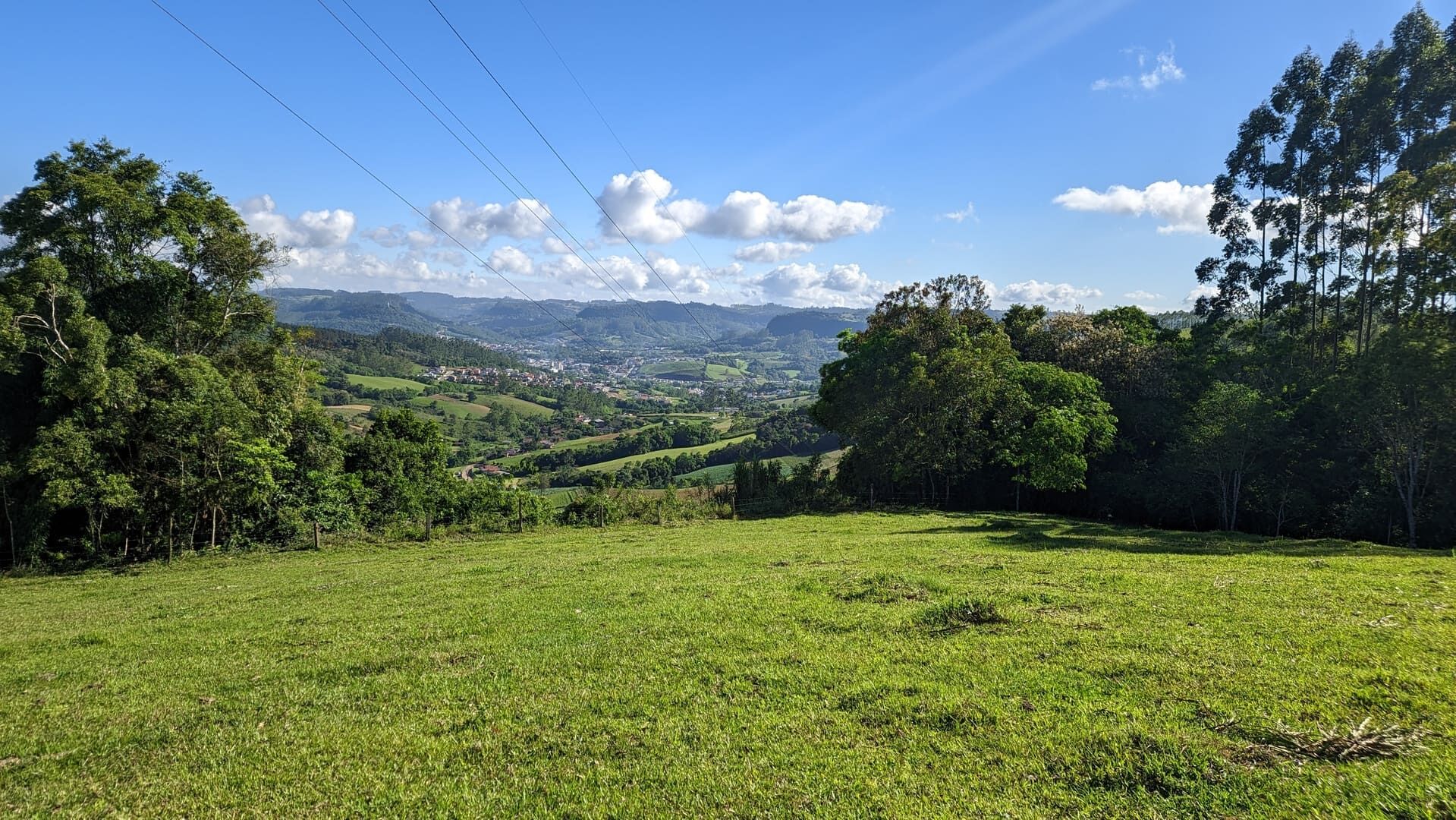 Terreno, 4 hectares - Foto 2