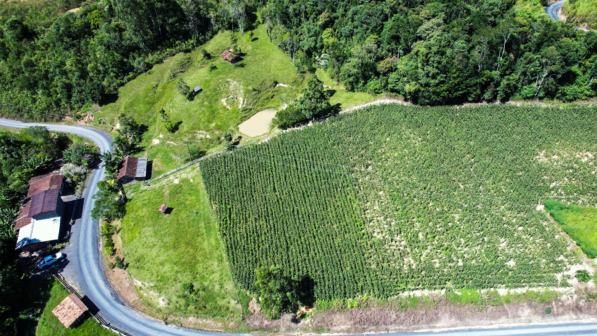 Sítio à venda com 2 quartos, 30000m² - Foto 20