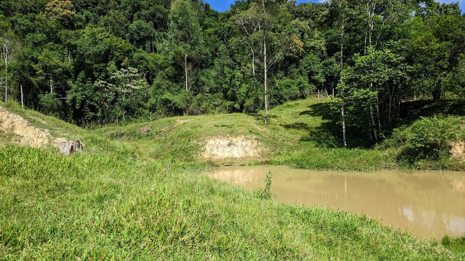 Sítio à venda com 2 quartos, 30000m² - Foto 23