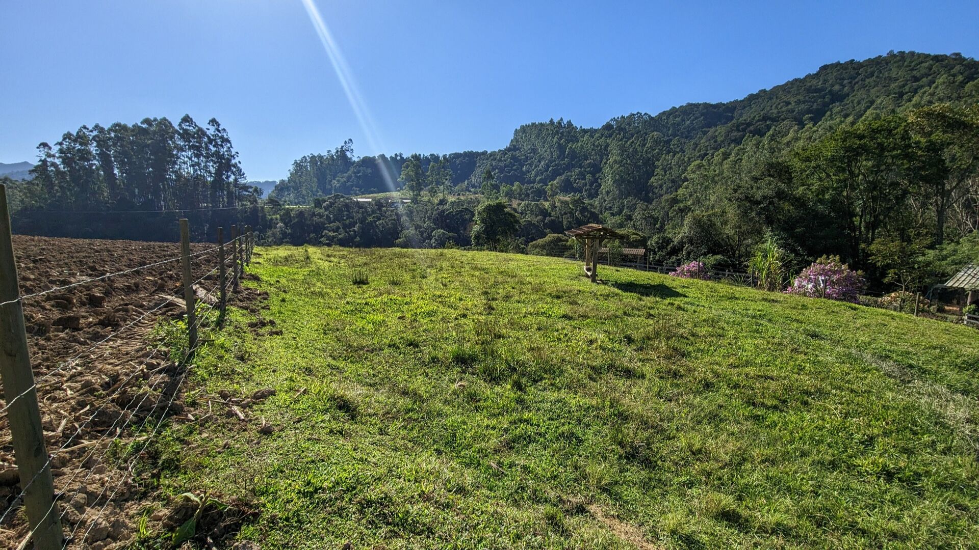 Sítio à venda com 2 quartos, 30000m² - Foto 15