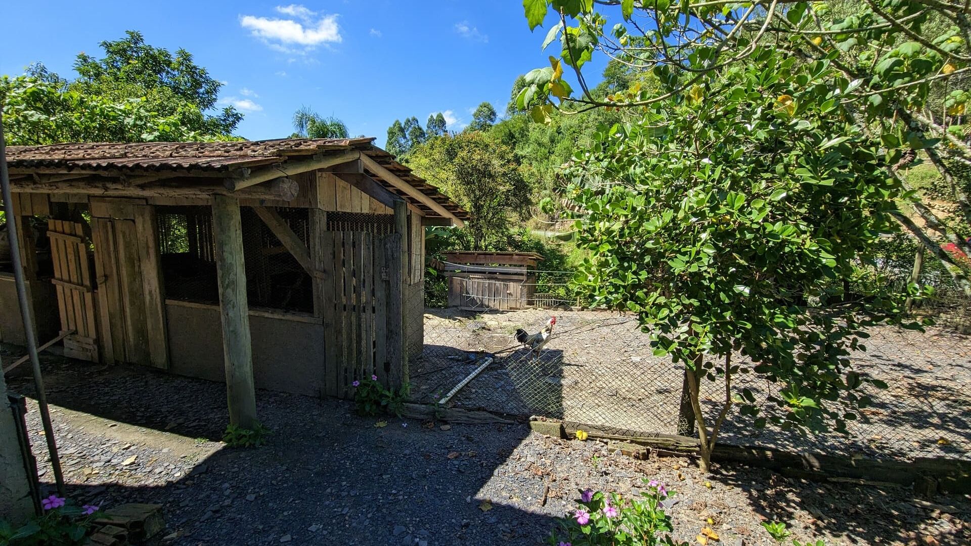 Sítio à venda com 2 quartos, 30000m² - Foto 10