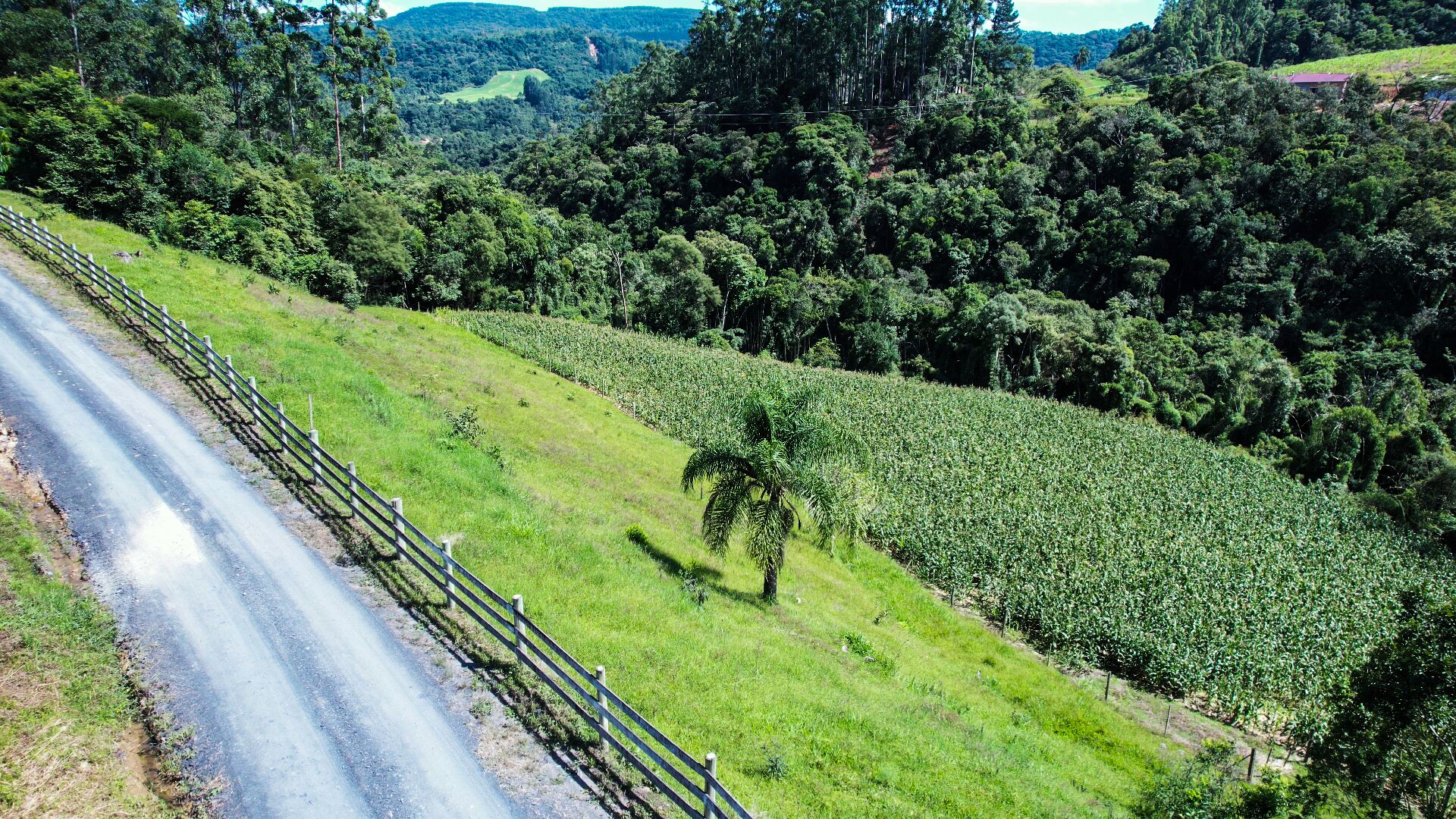 Sítio à venda com 2 quartos, 30000m² - Foto 22